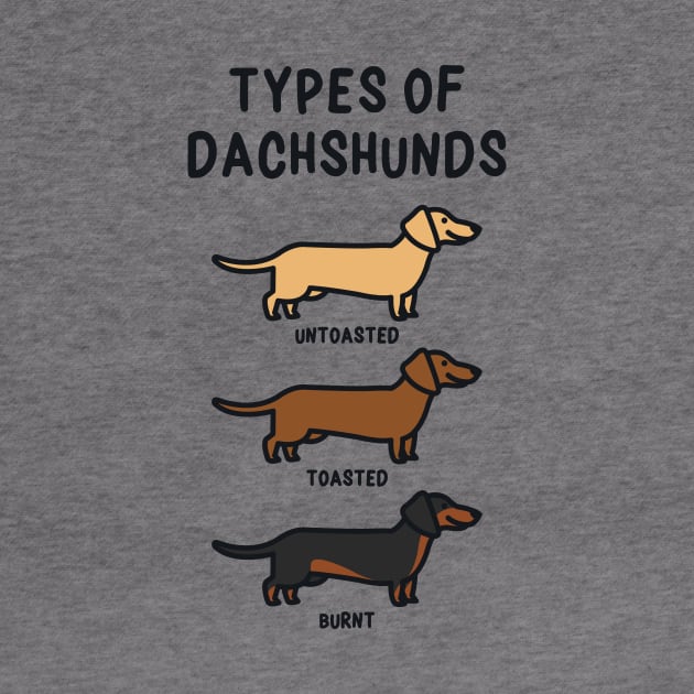 Types of Dachshunds by redbarron